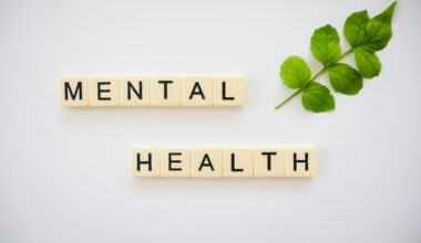 youth mental health services